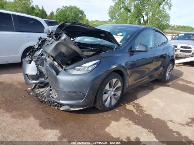 Photo 1 VIN: 7SAYGDEE3PA053488 - TESLA MODEL Y 