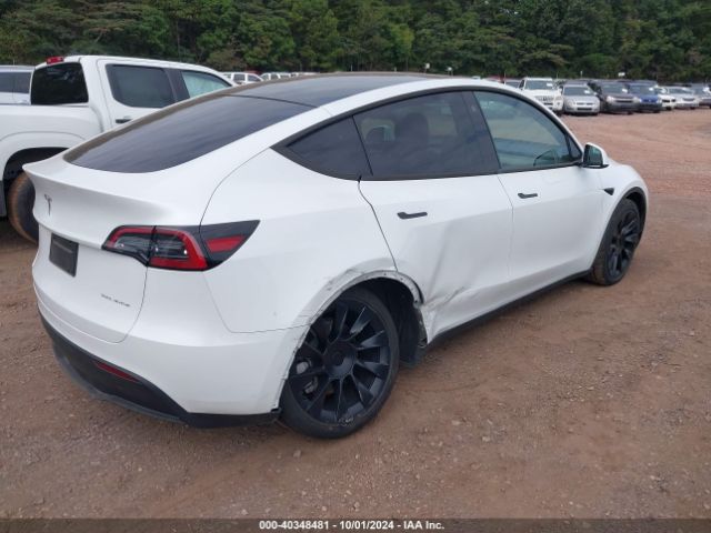 Photo 3 VIN: 7SAYGDEE3PA060182 - TESLA MODEL Y 