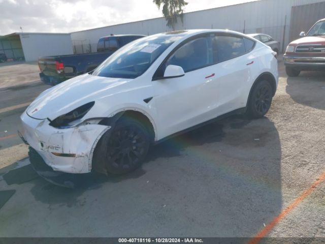 Photo 1 VIN: 7SAYGDEE3PA074857 - TESLA MODEL Y 