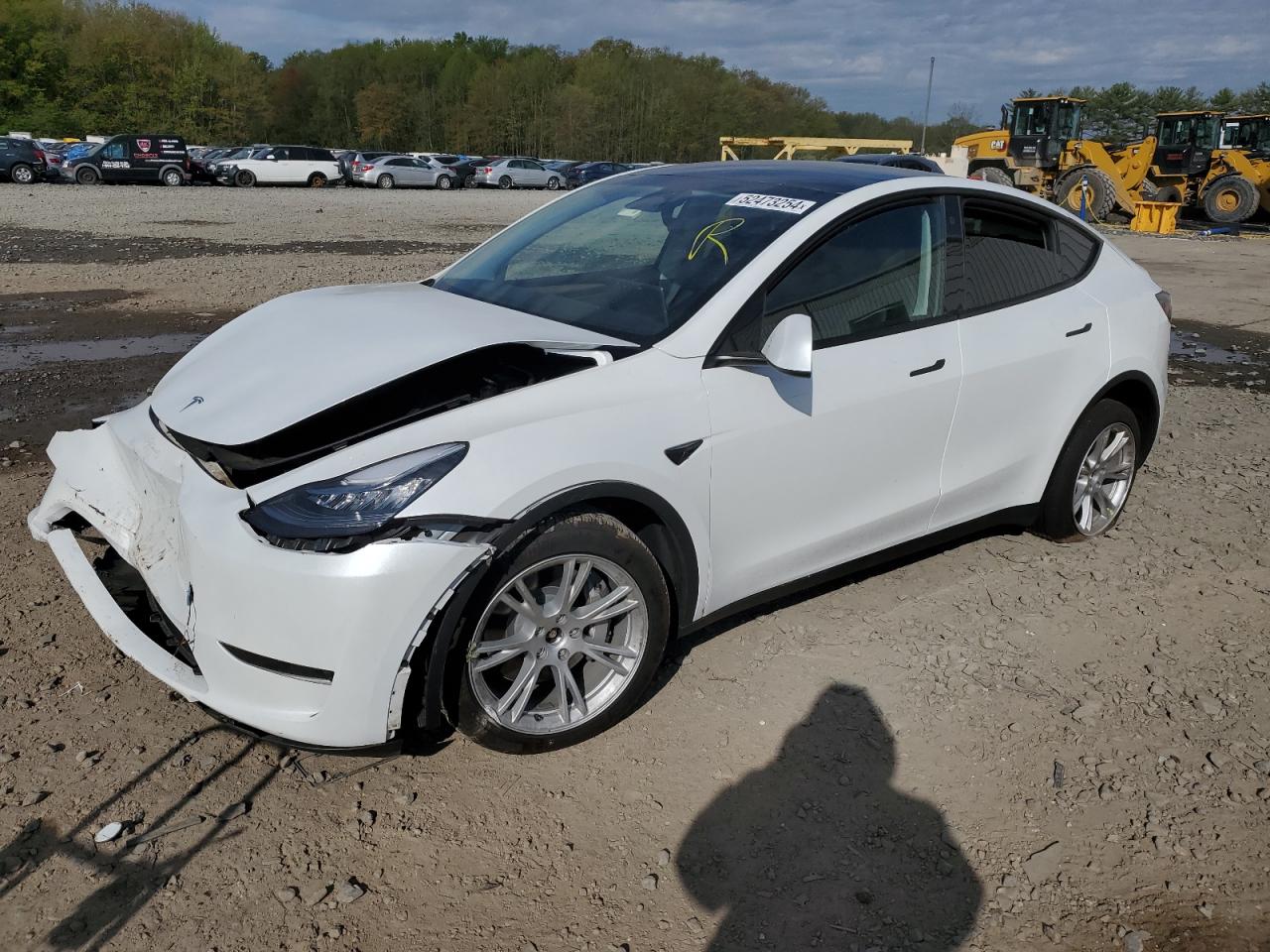 Photo 0 VIN: 7SAYGDEE3PA099824 - TESLA MODEL Y 