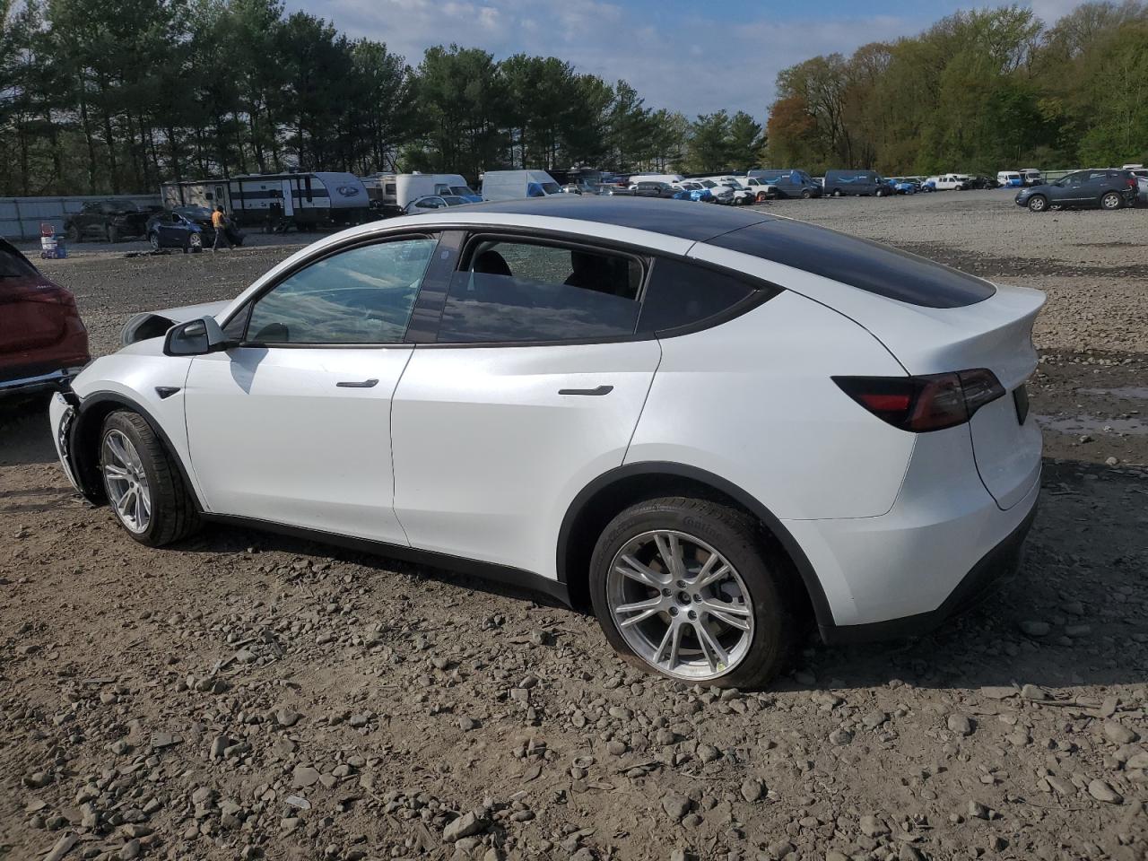 Photo 1 VIN: 7SAYGDEE3PA099824 - TESLA MODEL Y 