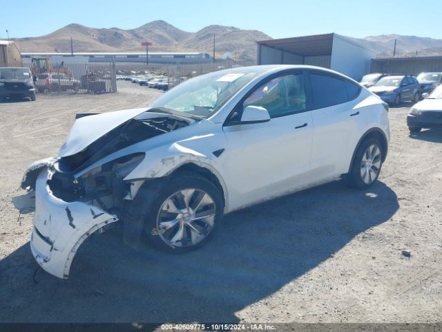 Photo 1 VIN: 7SAYGDEE3PA124284 - TESLA MODEL Y 