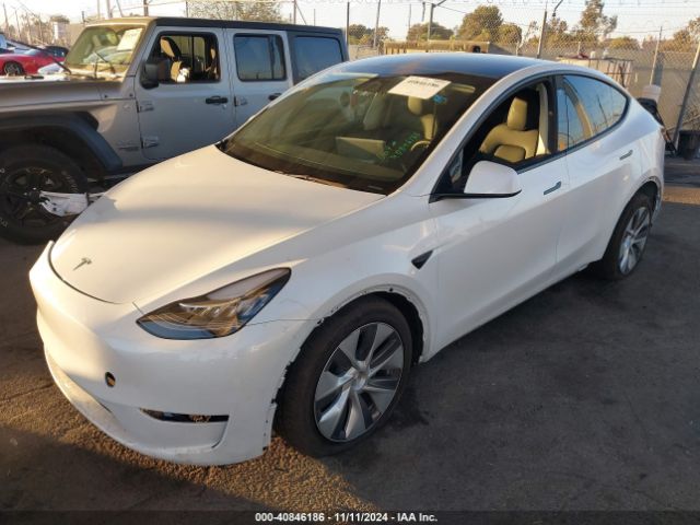 Photo 1 VIN: 7SAYGDEE3PA124530 - TESLA MODEL Y 