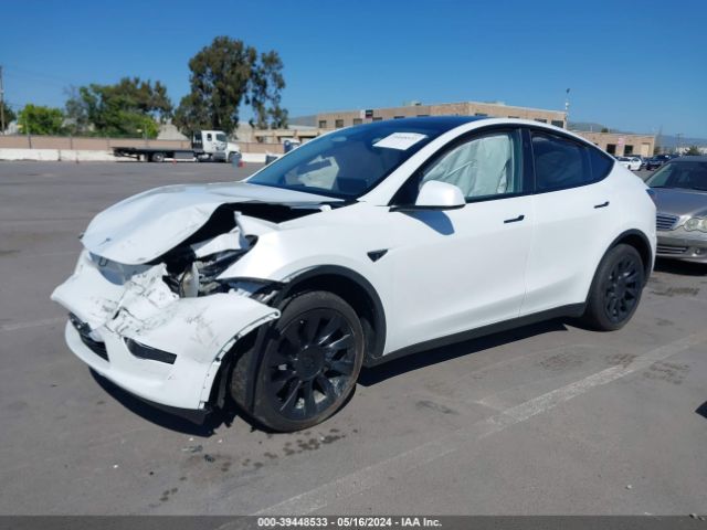 Photo 1 VIN: 7SAYGDEE3PA135947 - TESLA MODEL Y 