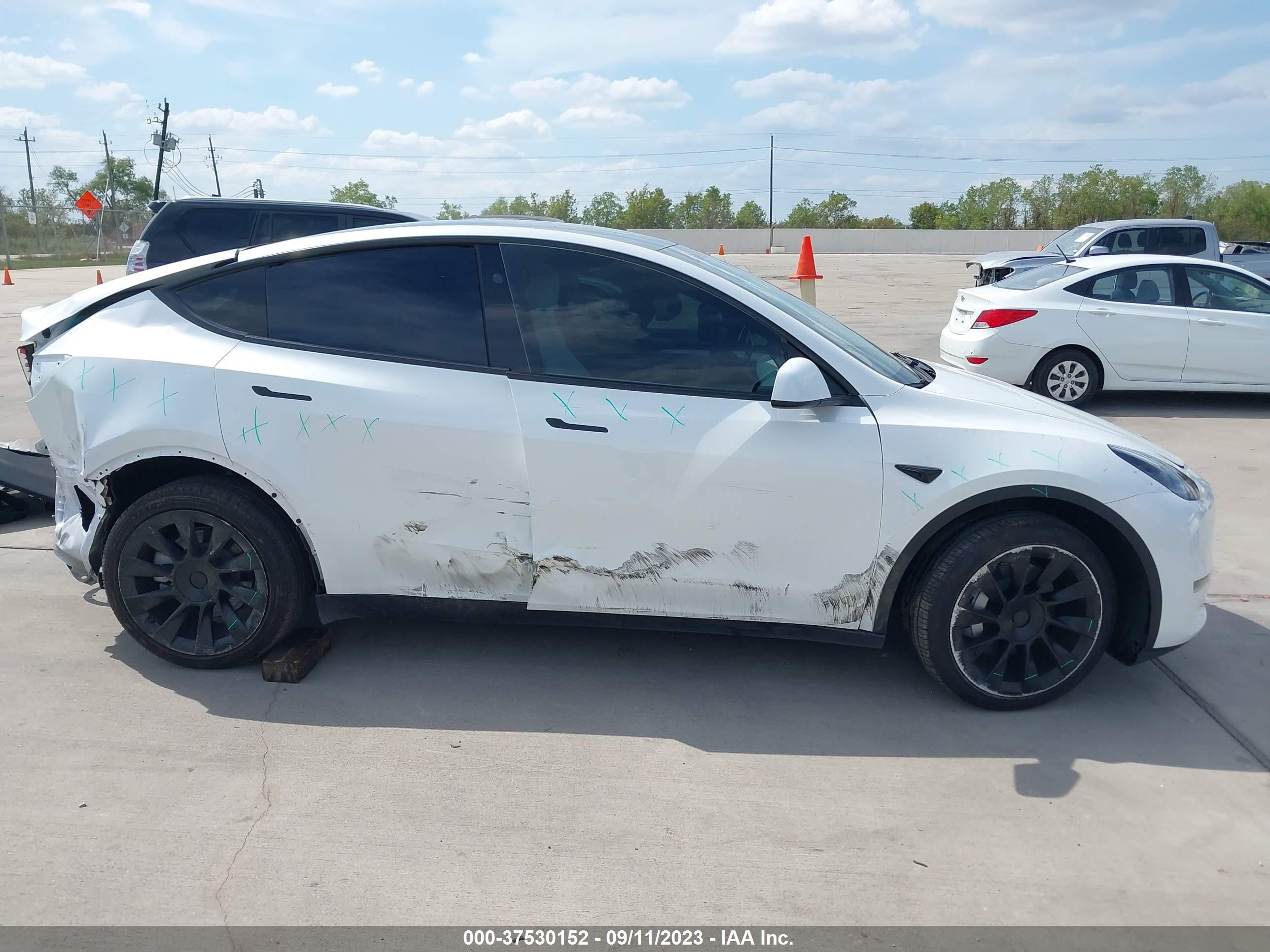 Photo 11 VIN: 7SAYGDEE3PA149220 - TESLA MODEL Y 