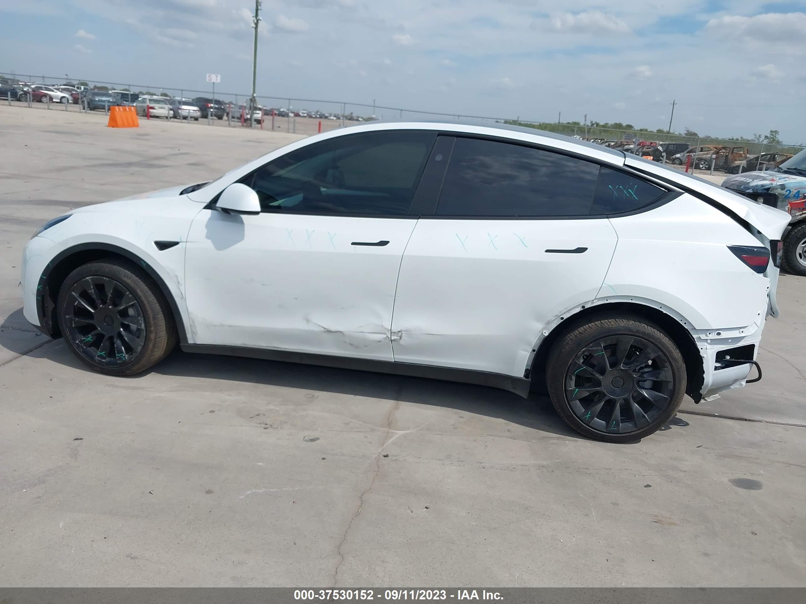 Photo 12 VIN: 7SAYGDEE3PA149220 - TESLA MODEL Y 