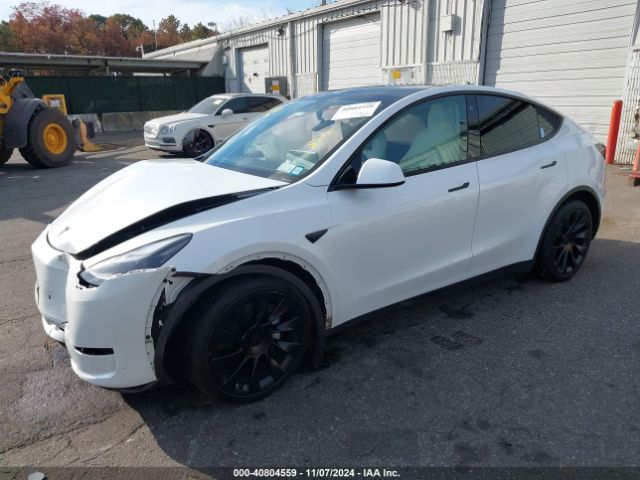 Photo 1 VIN: 7SAYGDEE3PF630734 - TESLA MODEL Y 