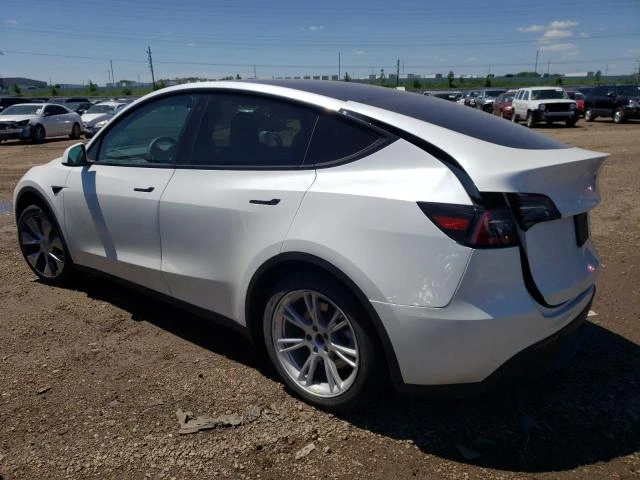 Photo 1 VIN: 7SAYGDEE3PF662678 - TESLA MODEL Y 