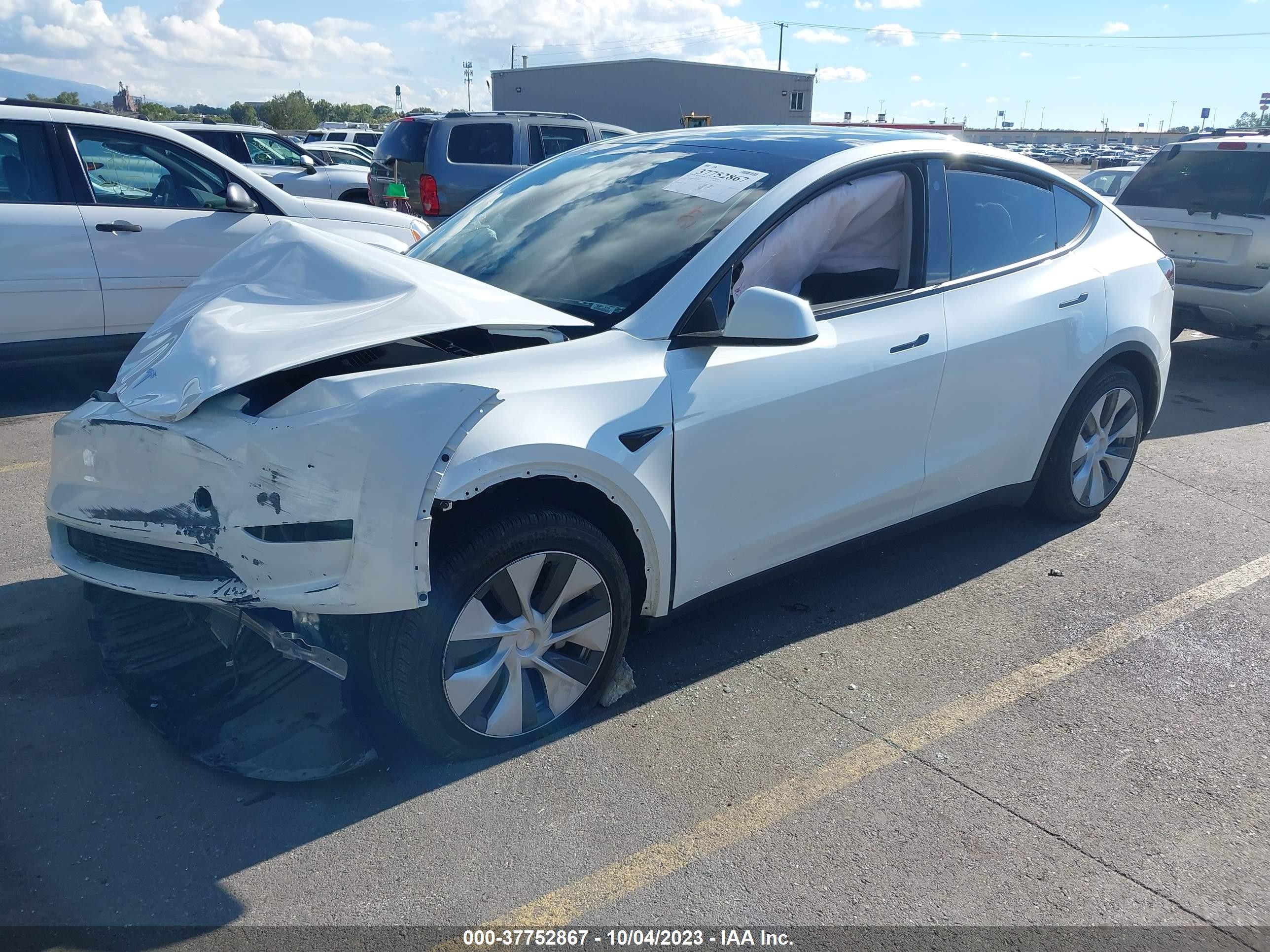 Photo 1 VIN: 7SAYGDEE3PF667475 - TESLA MODEL Y 