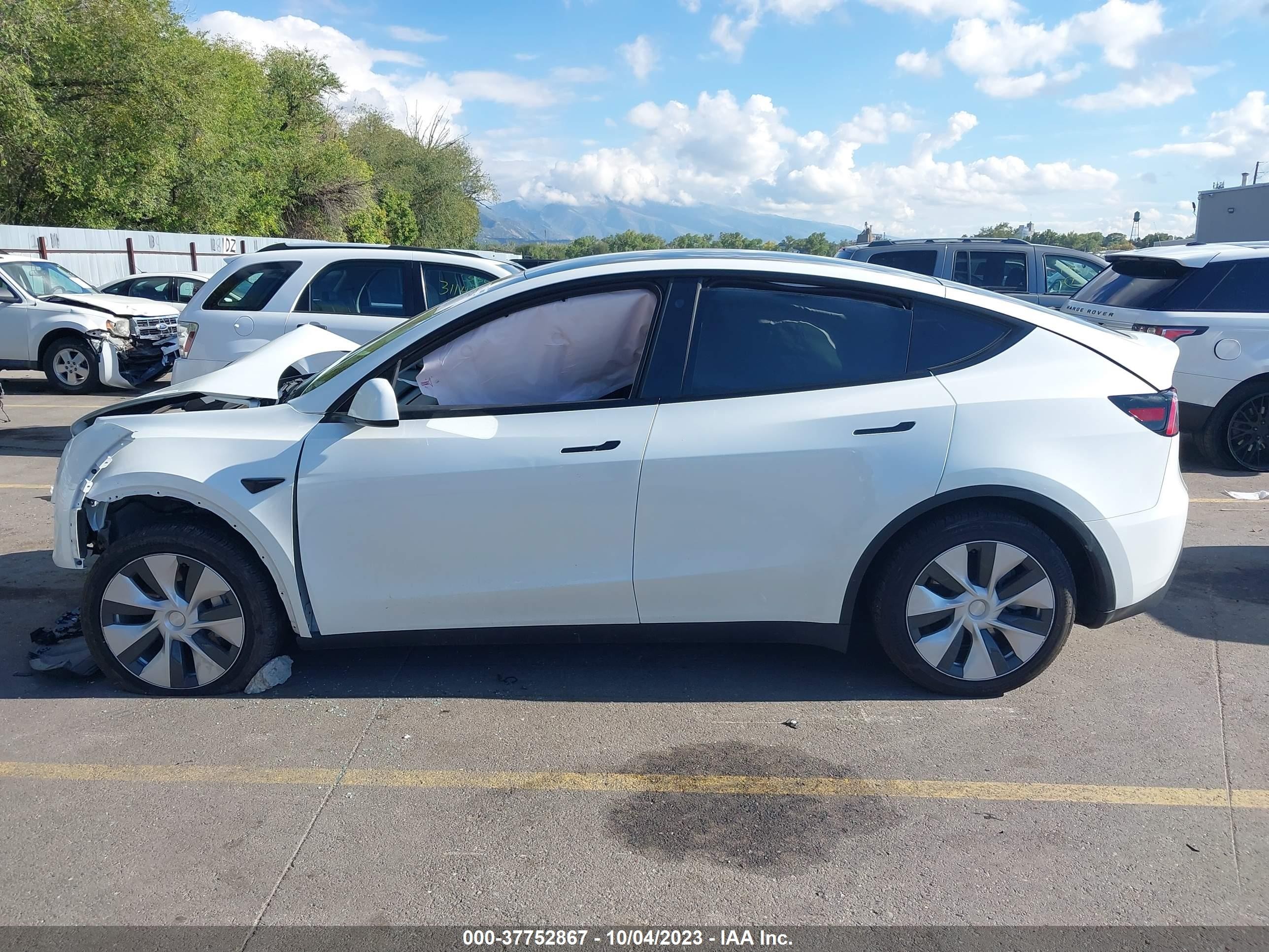 Photo 11 VIN: 7SAYGDEE3PF667475 - TESLA MODEL Y 