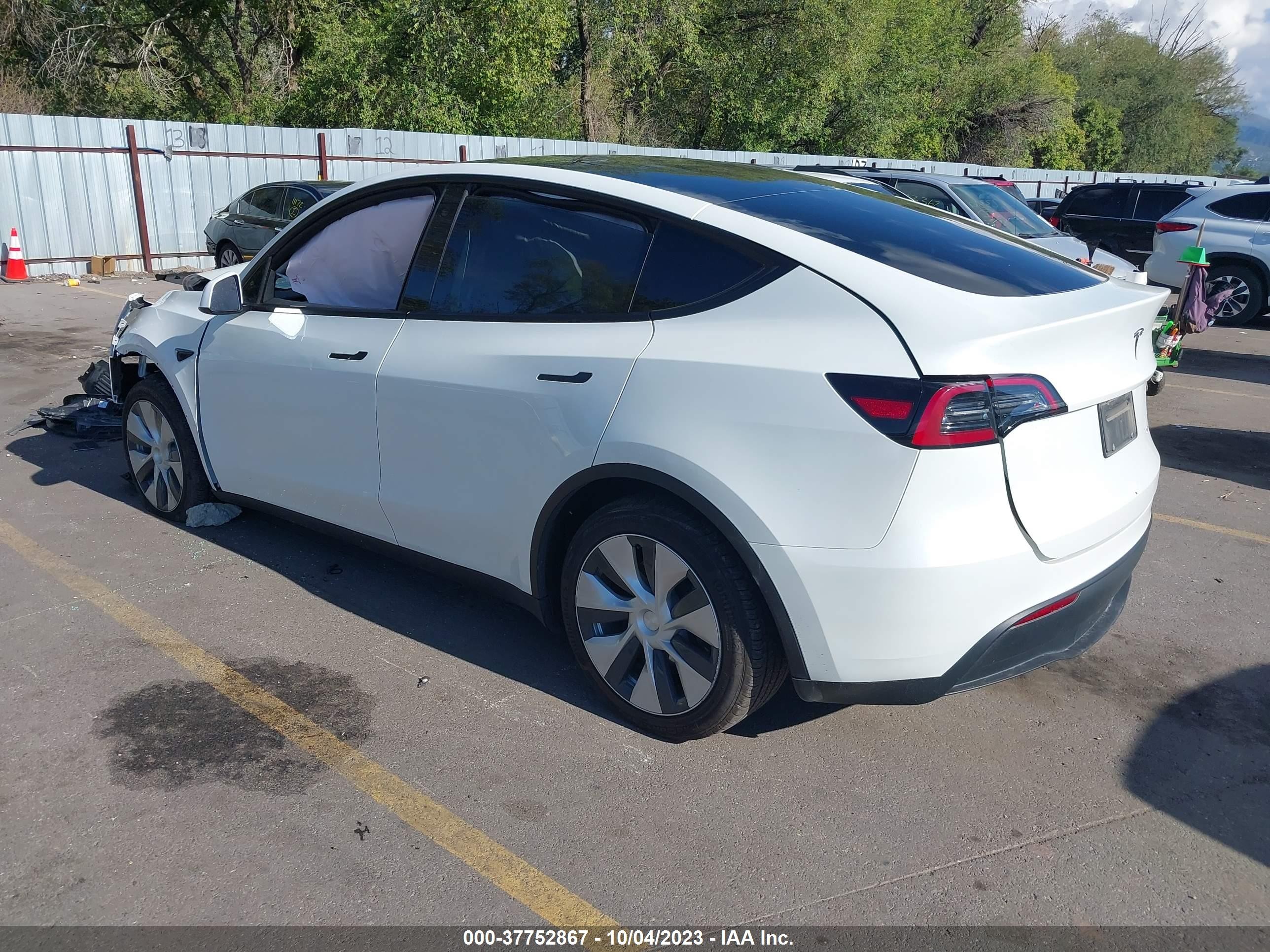 Photo 2 VIN: 7SAYGDEE3PF667475 - TESLA MODEL Y 