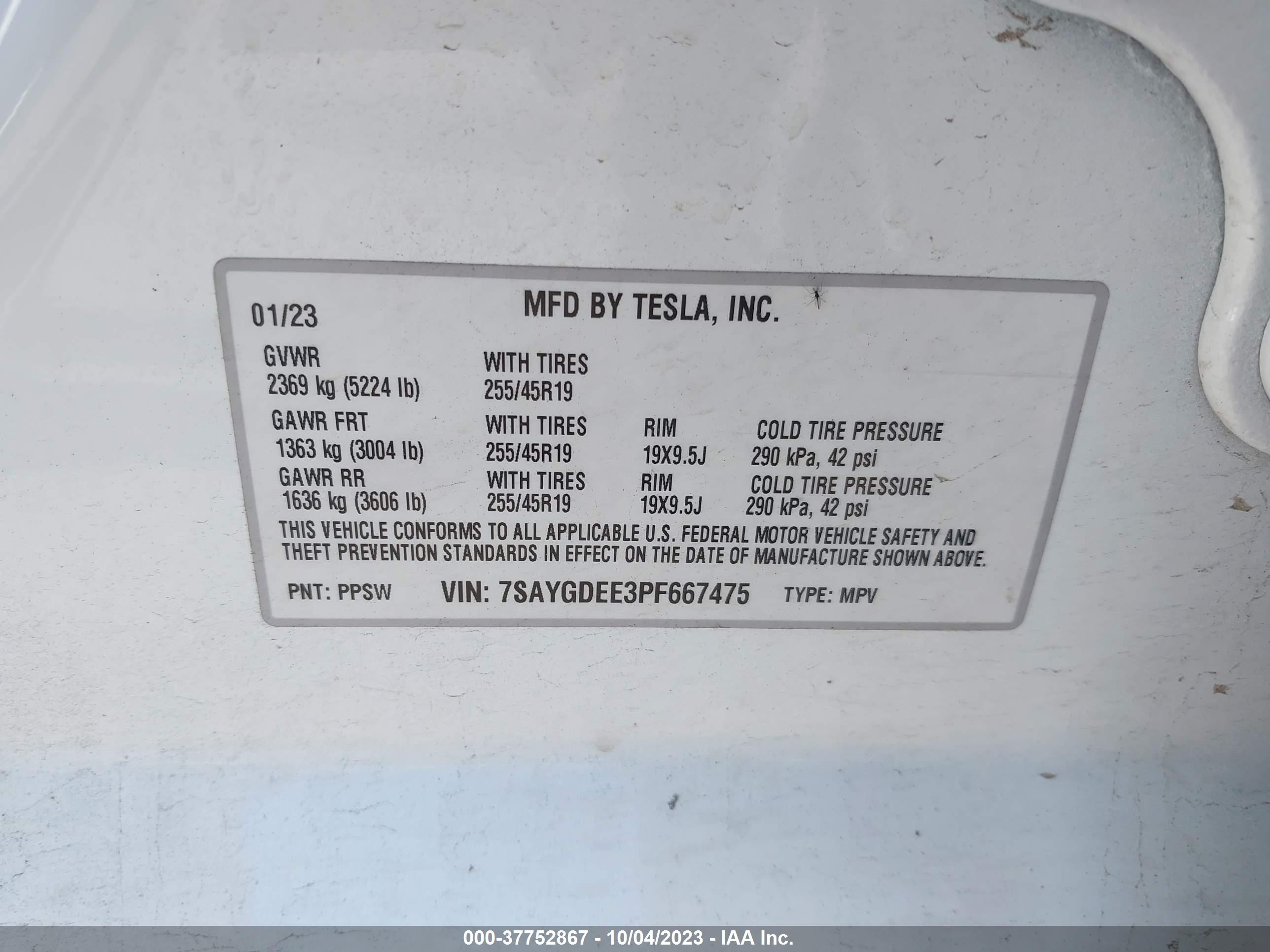 Photo 8 VIN: 7SAYGDEE3PF667475 - TESLA MODEL Y 