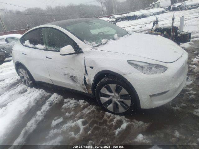 Photo 0 VIN: 7SAYGDEE3PF684261 - TESLA MODEL Y 