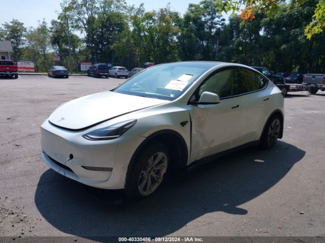 Photo 1 VIN: 7SAYGDEE3PF686124 - TESLA MODEL Y 