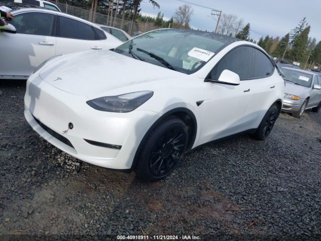 Photo 1 VIN: 7SAYGDEE3PF689489 - TESLA MODEL Y 