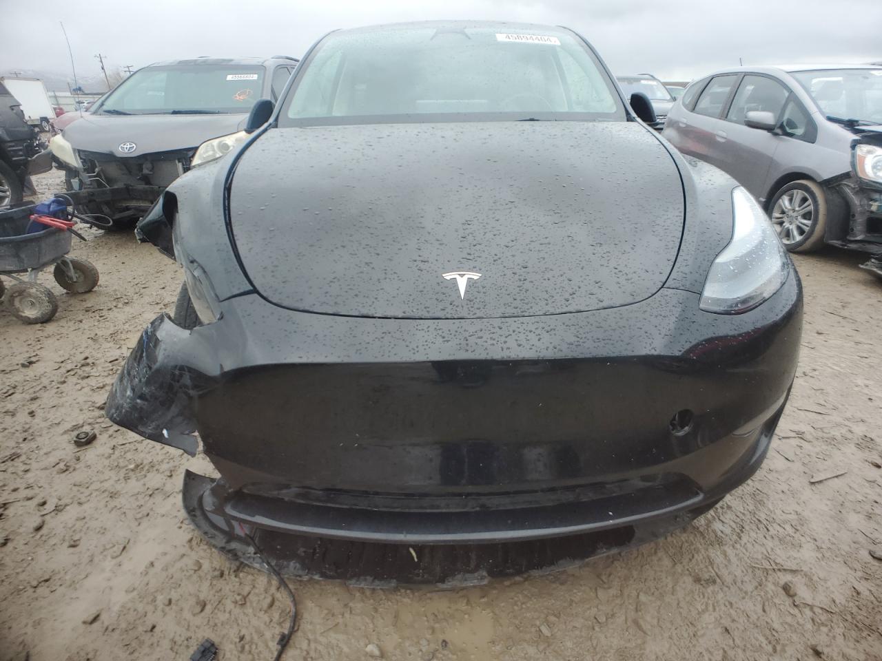 Photo 4 VIN: 7SAYGDEE3PF746645 - TESLA MODEL Y 