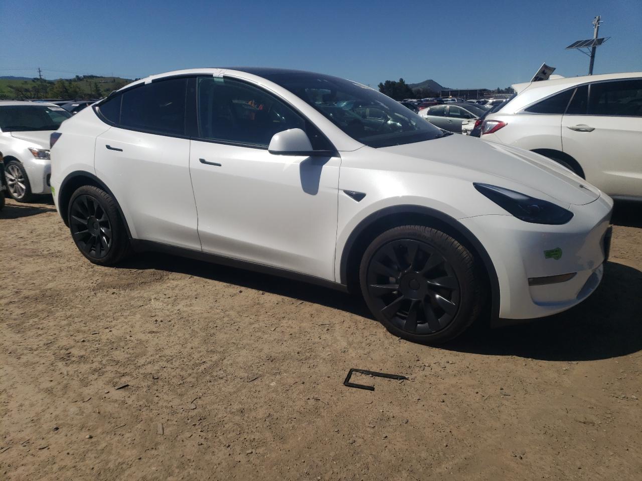 Photo 3 VIN: 7SAYGDEE3PF748735 - TESLA MODEL Y 