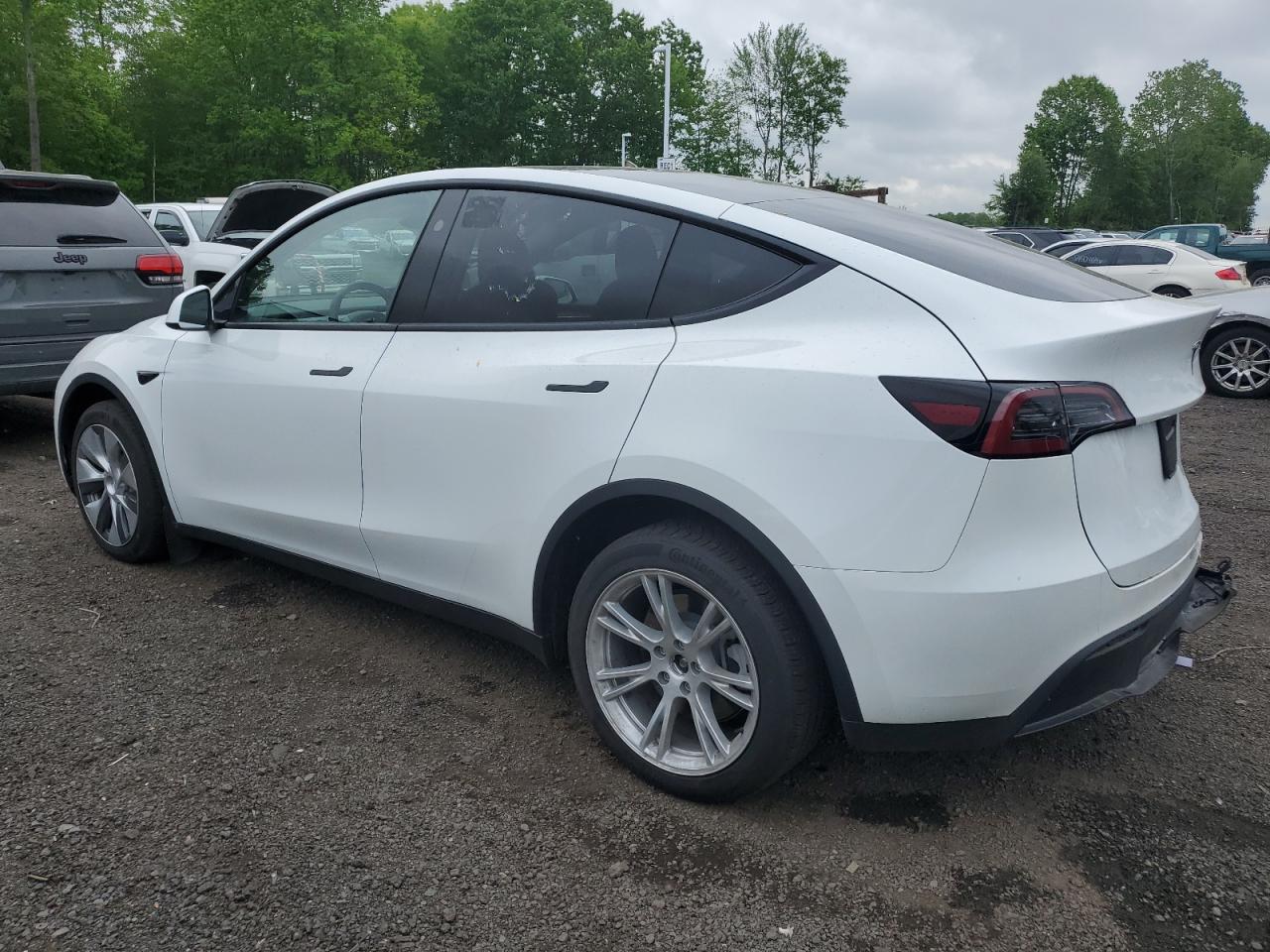 Photo 1 VIN: 7SAYGDEE3PF789947 - TESLA MODEL Y 