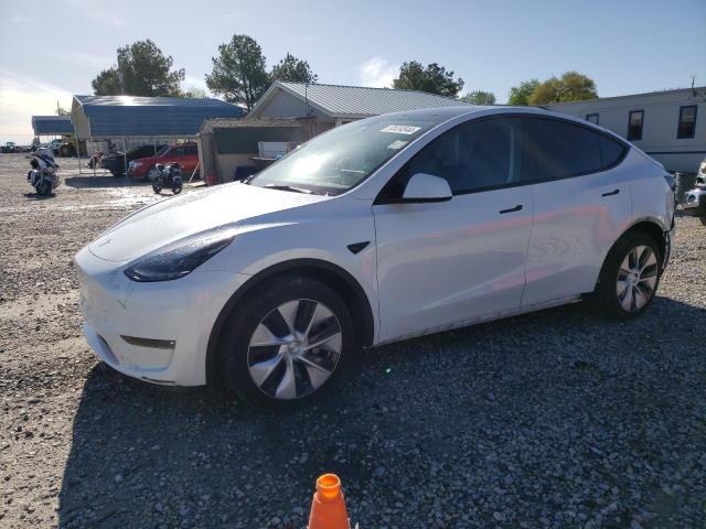 Photo 0 VIN: 7SAYGDEE3PF806438 - TESLA MODEL Y 