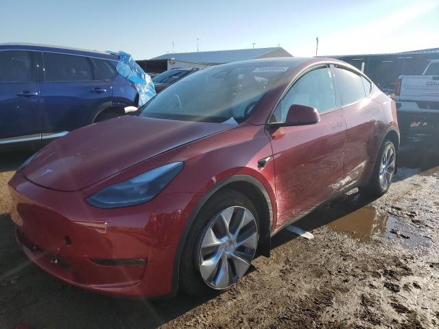 Photo 0 VIN: 7SAYGDEE3PF870575 - TESLA MODEL Y 