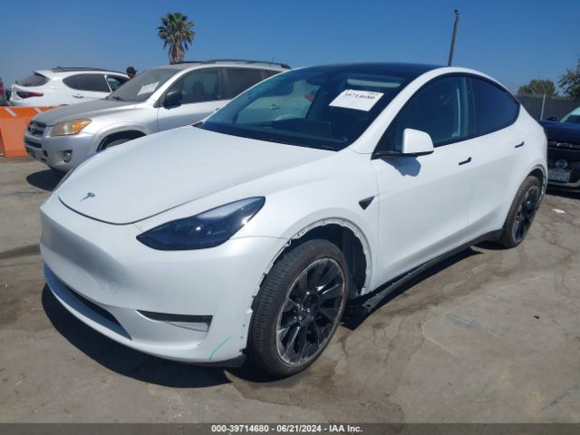 Photo 1 VIN: 7SAYGDEE3PF886615 - TESLA MODEL Y 