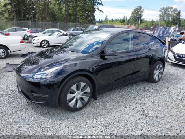 Photo 1 VIN: 7SAYGDEE3PF967842 - TESLA MODEL Y 