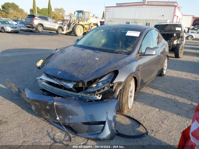 Photo 1 VIN: 7SAYGDEE3PF978694 - TESLA MODEL Y 