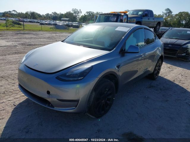 Photo 1 VIN: 7SAYGDEE3RA286595 - TESLA MODEL Y 