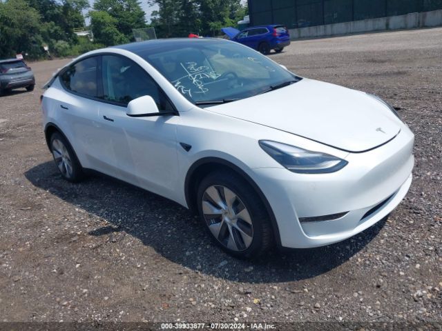 Photo 0 VIN: 7SAYGDEE3RA290985 - TESLA MODEL Y 