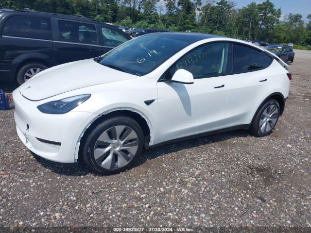 Photo 1 VIN: 7SAYGDEE3RA290985 - TESLA MODEL Y 