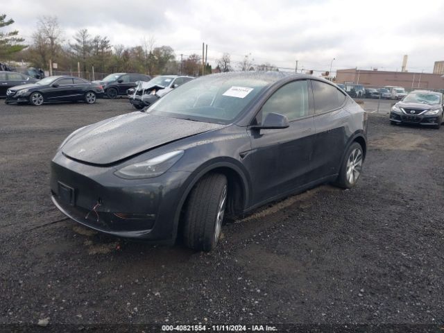 Photo 1 VIN: 7SAYGDEE3RF033716 - TESLA MODEL Y 