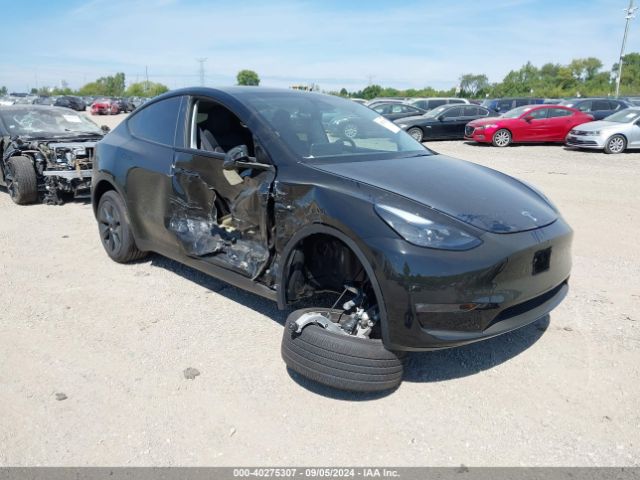 Photo 0 VIN: 7SAYGDEE3RF166136 - TESLA MODEL Y 