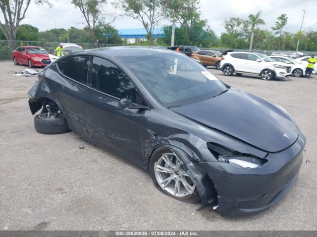 Photo 0 VIN: 7SAYGDEE3RF985146 - TESLA MODEL Y 