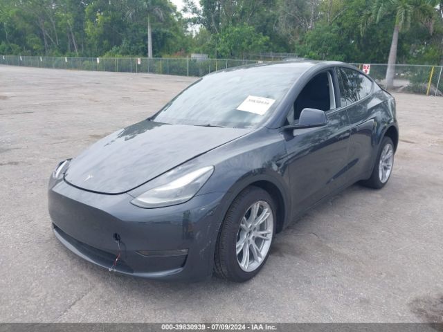 Photo 1 VIN: 7SAYGDEE3RF985146 - TESLA MODEL Y 