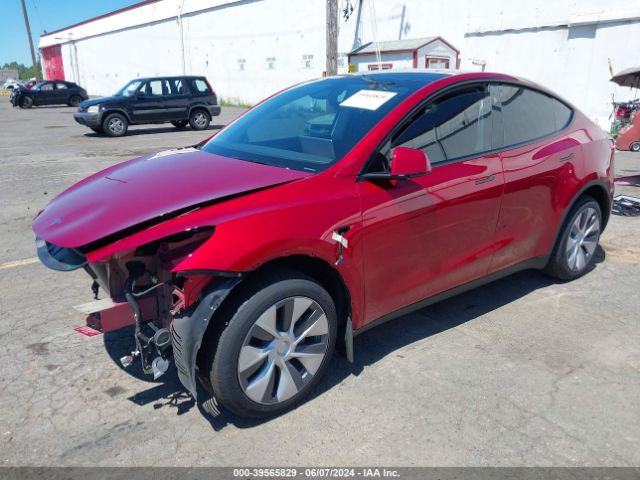 Photo 1 VIN: 7SAYGDEE3RF993747 - TESLA MODEL Y 