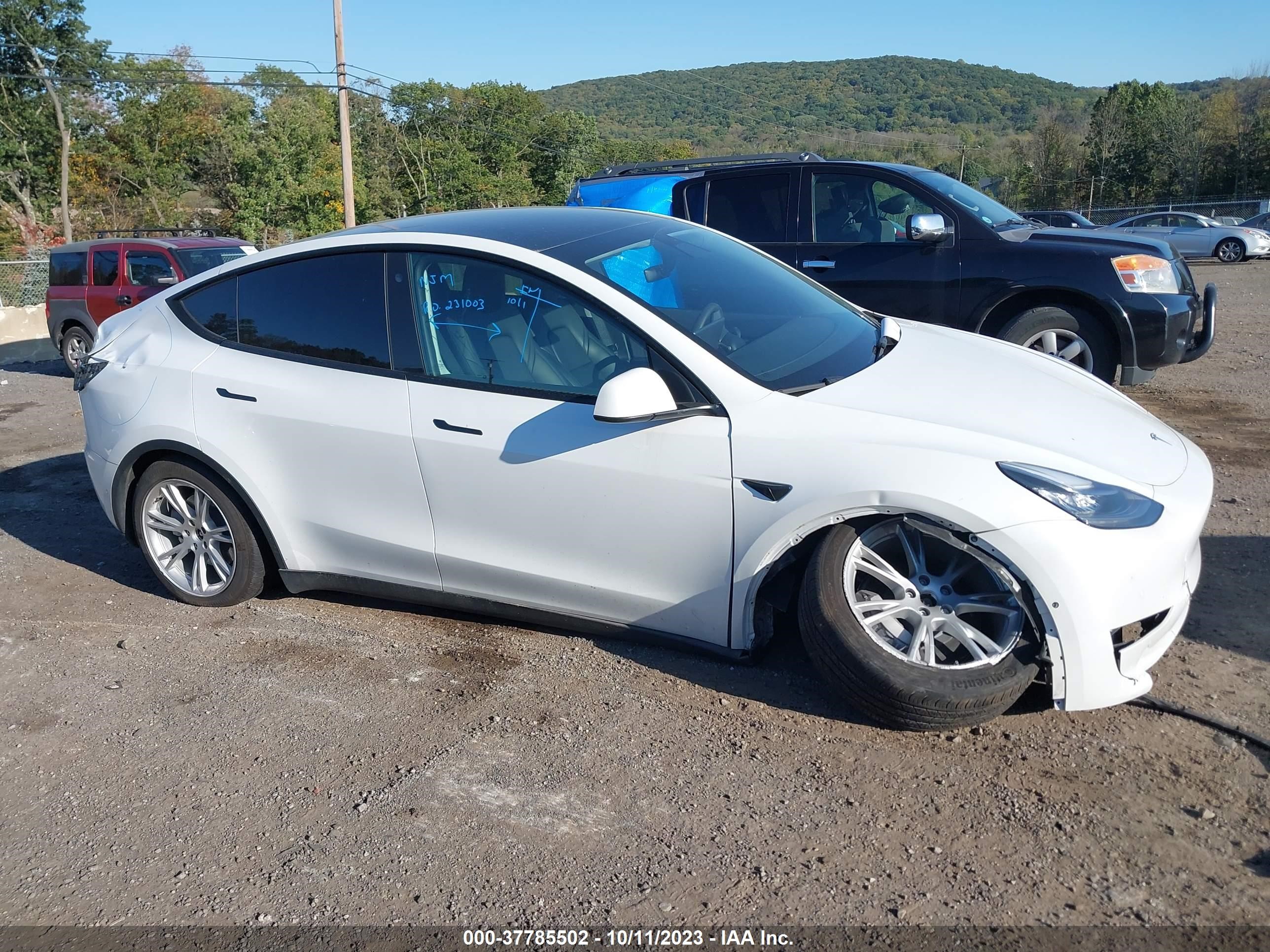 Photo 0 VIN: 7SAYGDEE4NF307029 - TESLA MODEL Y 