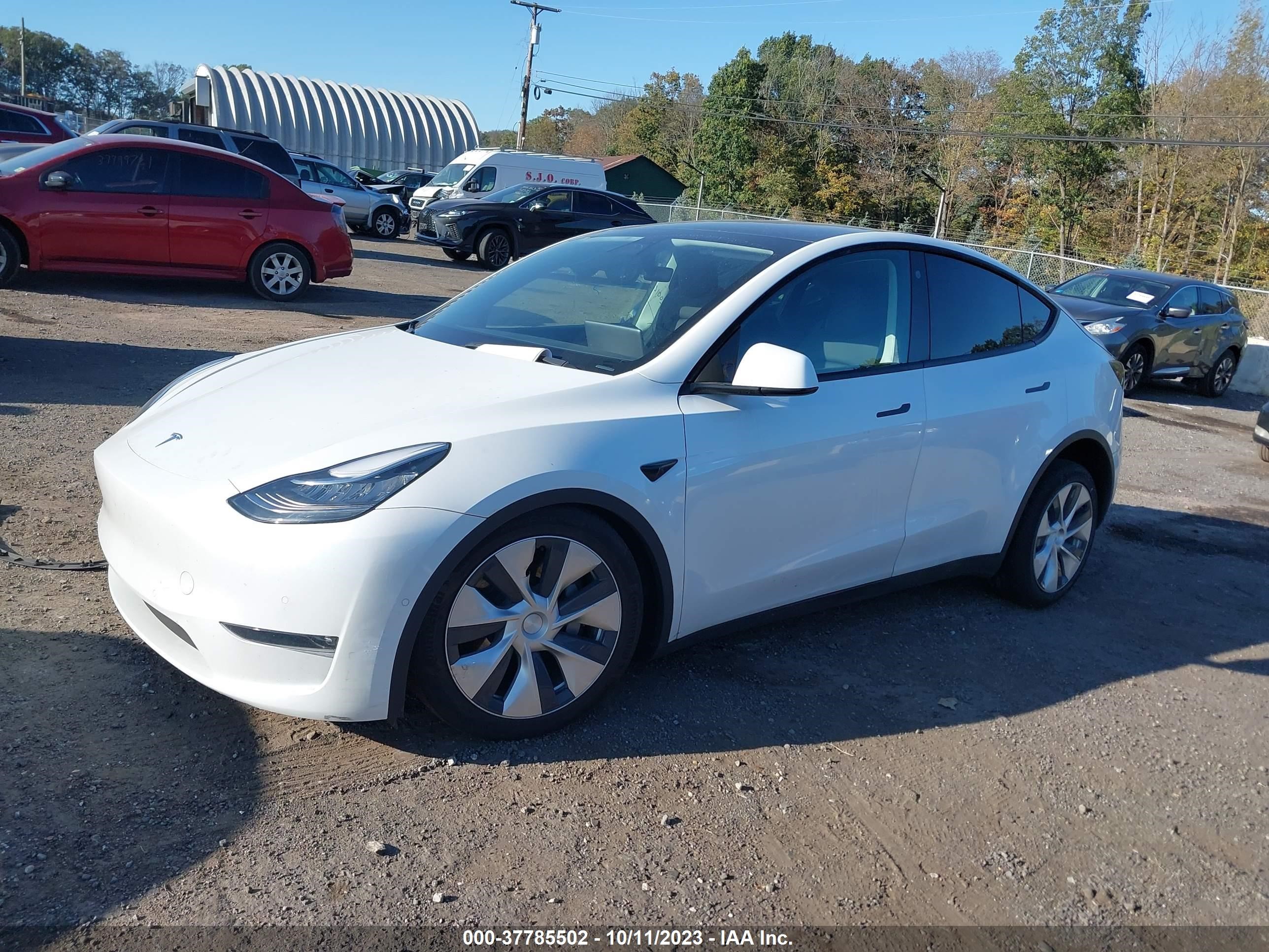 Photo 1 VIN: 7SAYGDEE4NF307029 - TESLA MODEL Y 