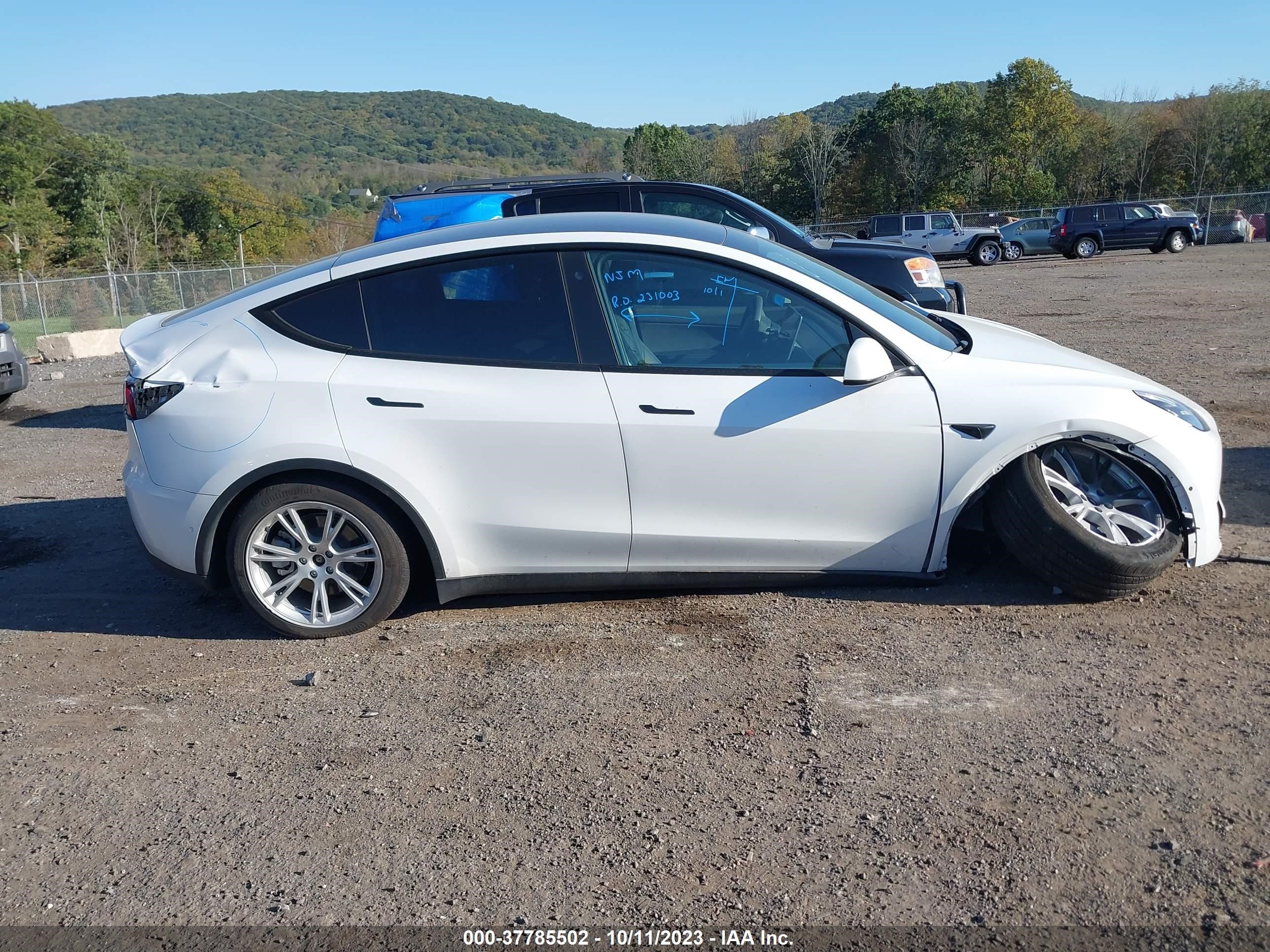 Photo 11 VIN: 7SAYGDEE4NF307029 - TESLA MODEL Y 