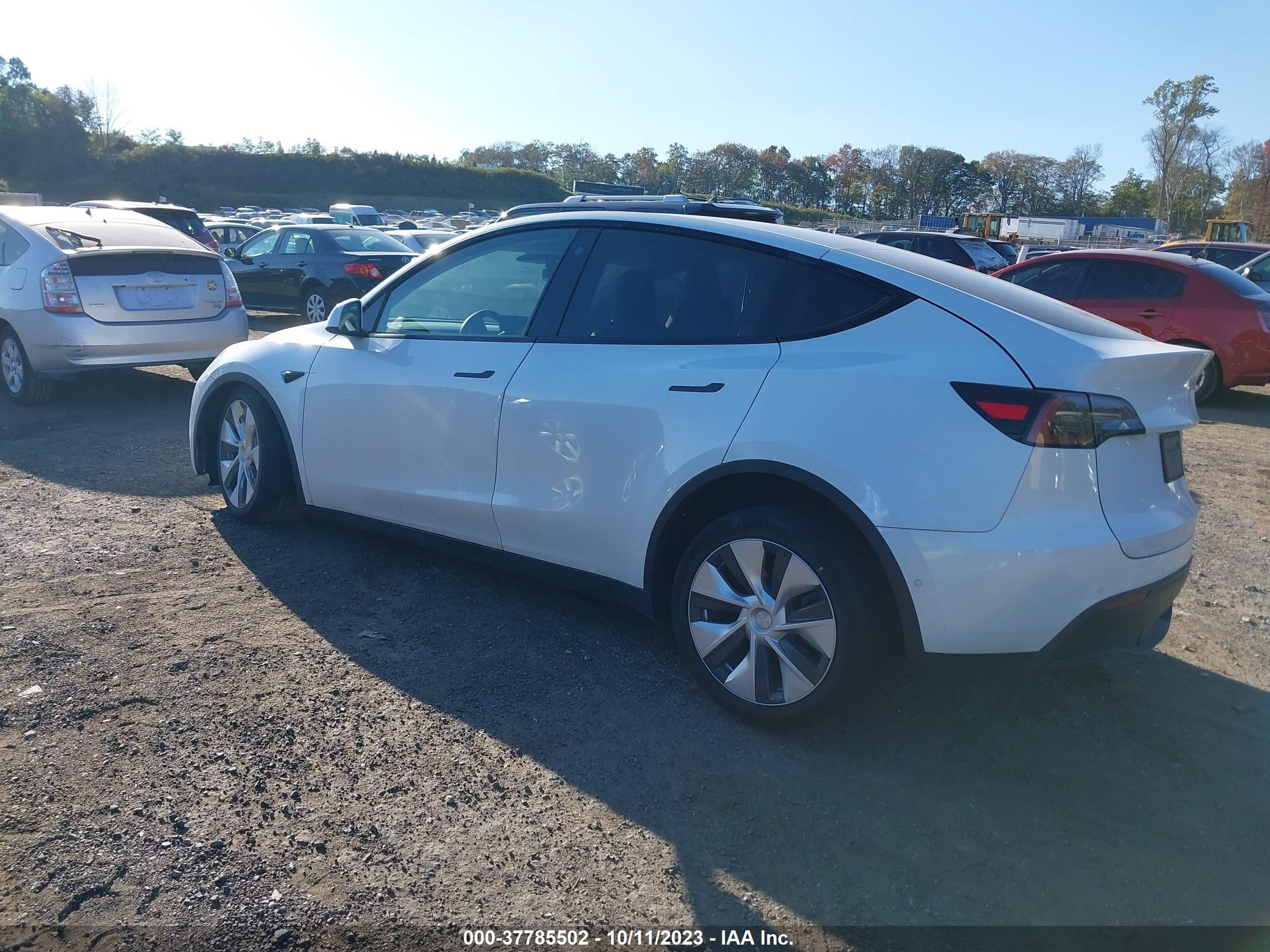 Photo 2 VIN: 7SAYGDEE4NF307029 - TESLA MODEL Y 