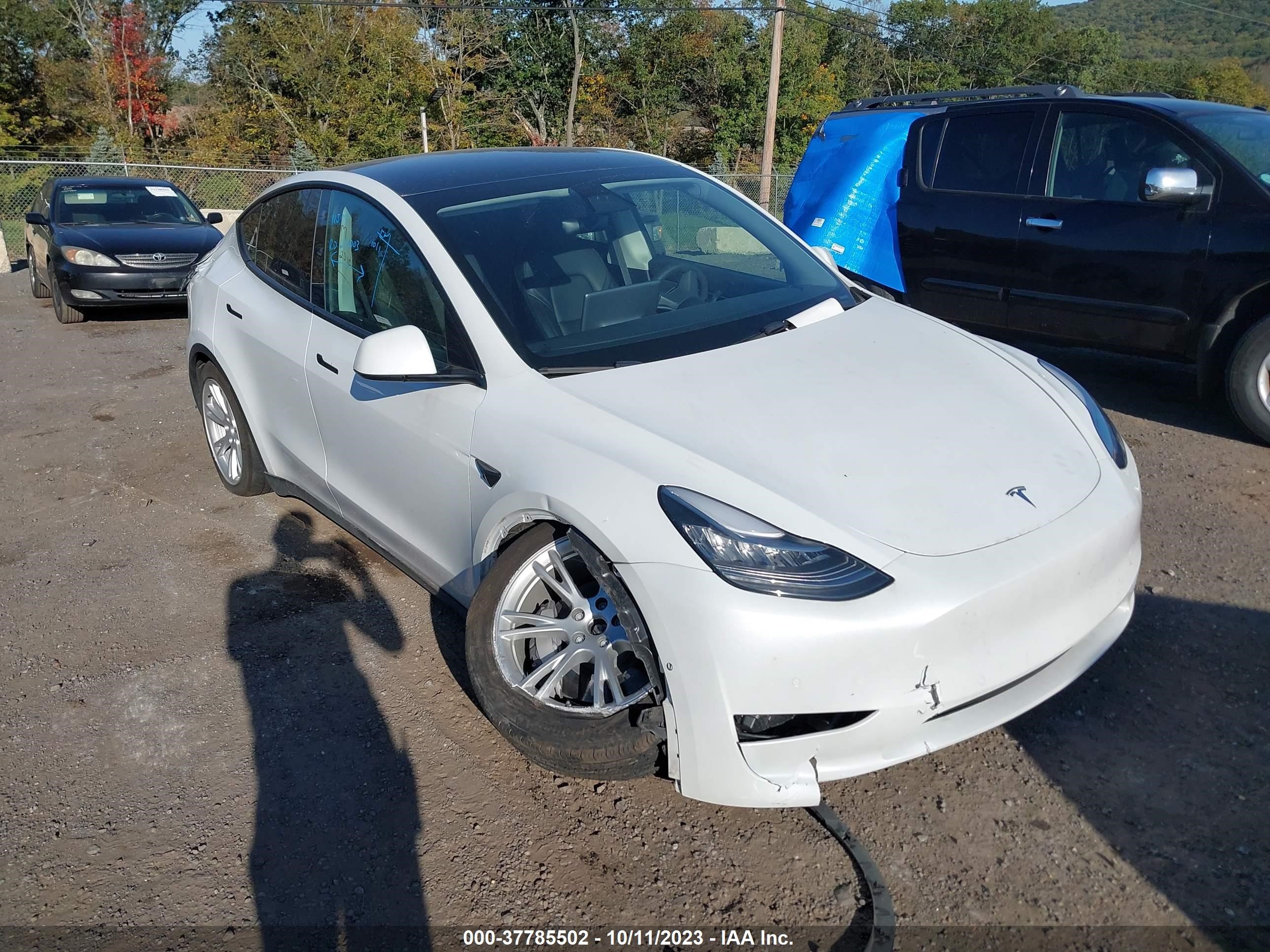 Photo 5 VIN: 7SAYGDEE4NF307029 - TESLA MODEL Y 