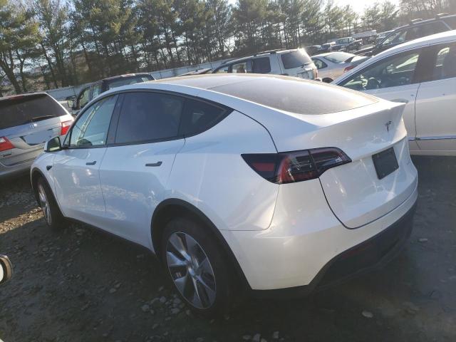 Photo 1 VIN: 7SAYGDEE4NF321464 - TESLA MODEL Y 