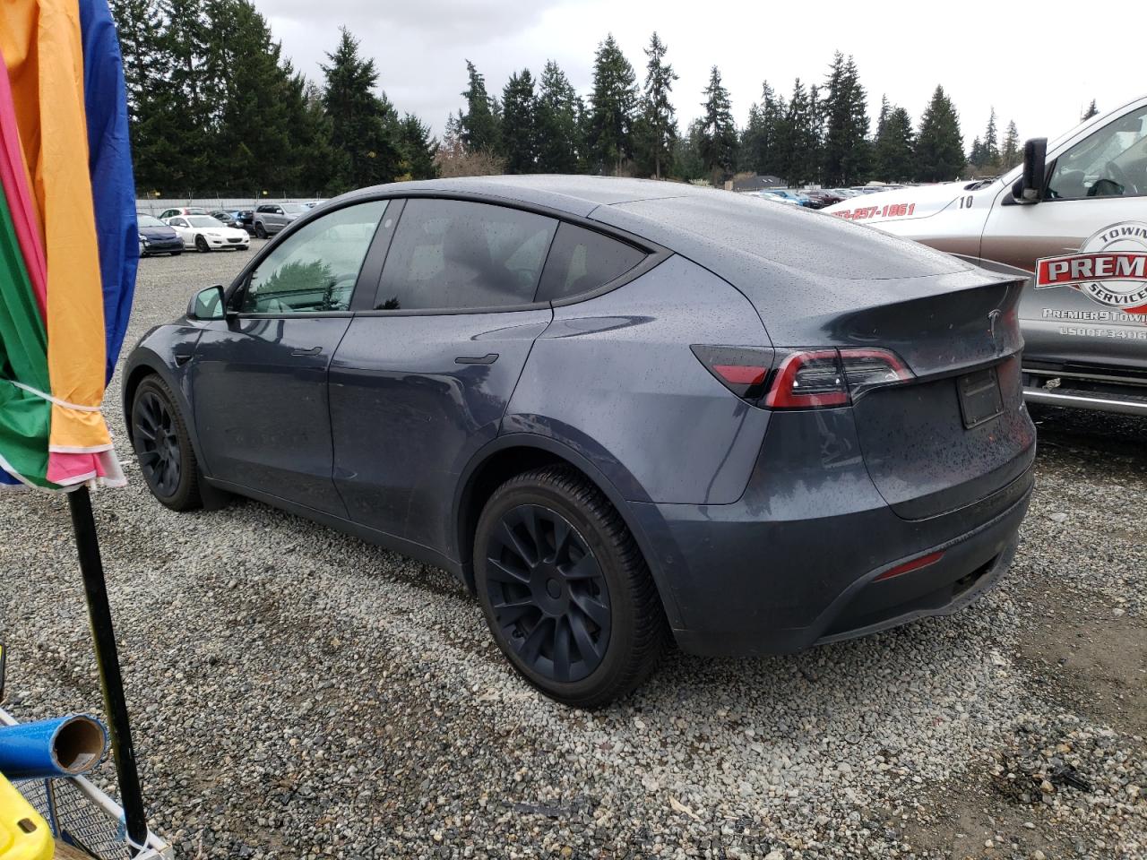 Photo 1 VIN: 7SAYGDEE4NF322520 - TESLA MODEL Y 