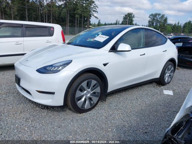 Photo 1 VIN: 7SAYGDEE4NF449705 - TESLA MODEL Y 