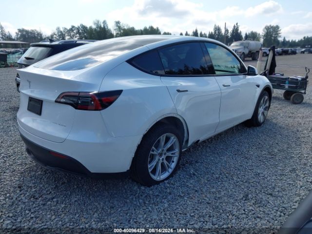 Photo 3 VIN: 7SAYGDEE4NF449705 - TESLA MODEL Y 