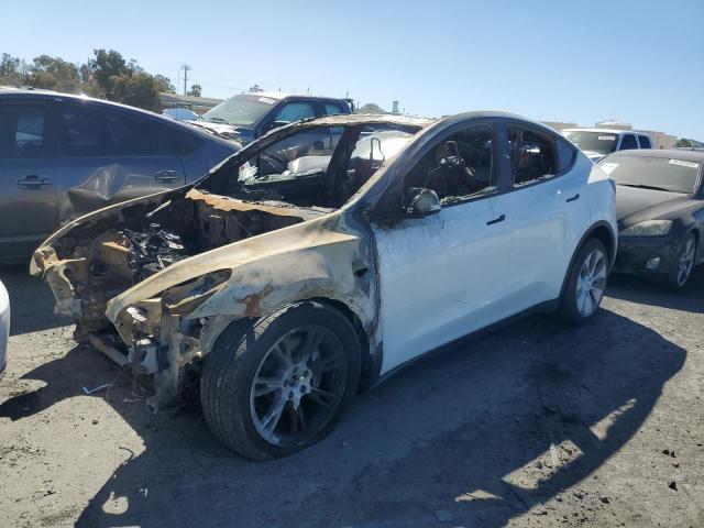 Photo 0 VIN: 7SAYGDEE4NF513824 - TESLA MODEL Y 