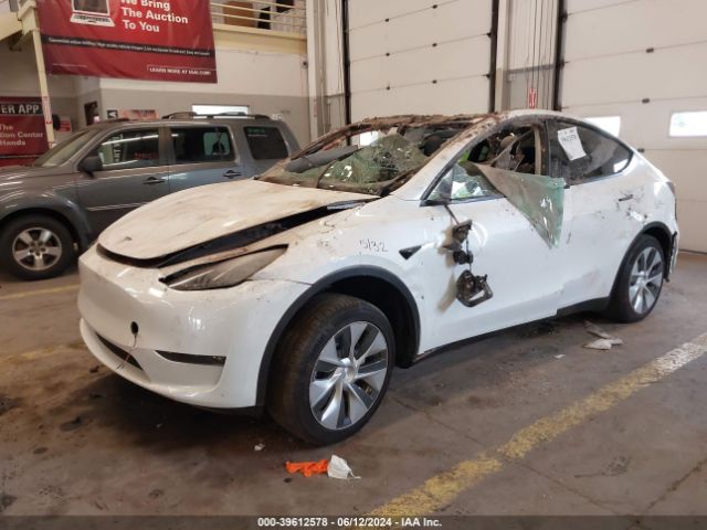 Photo 1 VIN: 7SAYGDEE4NF547651 - TESLA MODEL Y 