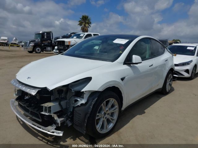 Photo 1 VIN: 7SAYGDEE4NF556883 - TESLA MODEL Y 