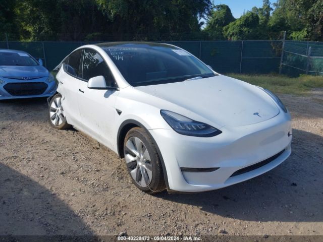 Photo 0 VIN: 7SAYGDEE4PA042290 - TESLA MODEL Y 