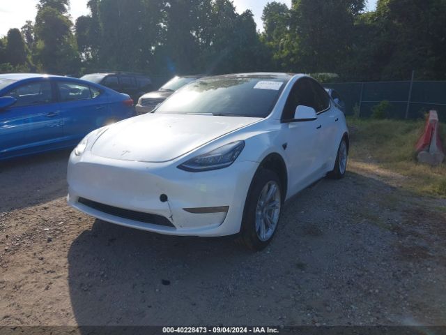 Photo 1 VIN: 7SAYGDEE4PA042290 - TESLA MODEL Y 