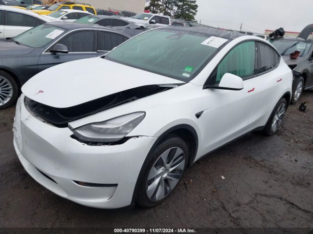 Photo 1 VIN: 7SAYGDEE4PA082028 - TESLA MODEL Y 